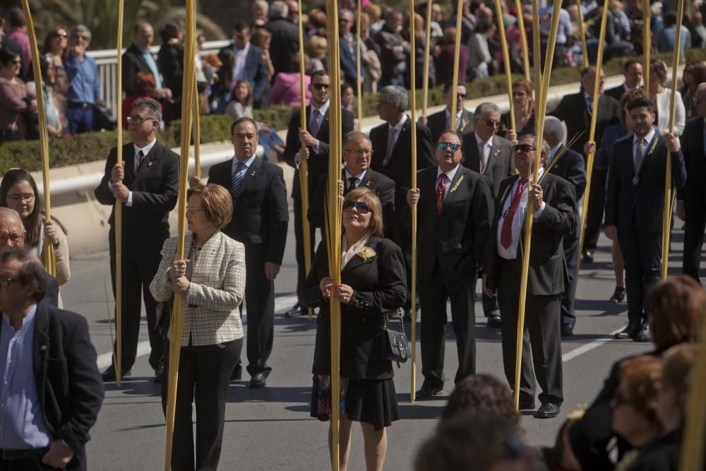 Domingo de Ramos en Elche