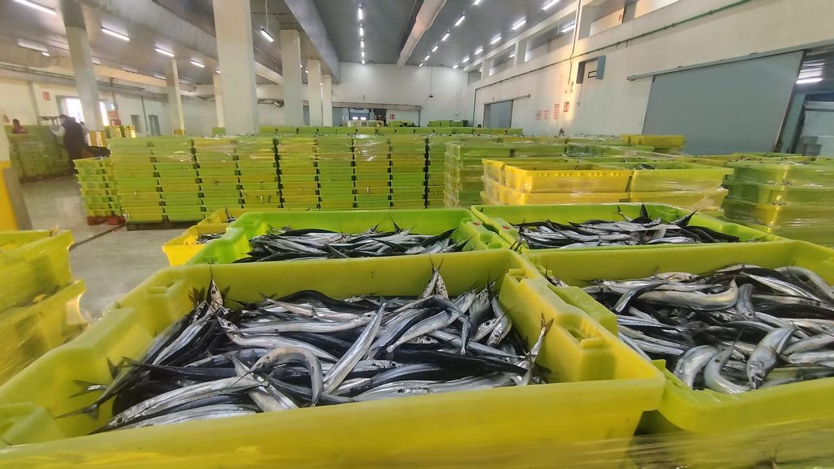 Pescado descargado en la lonja de A Coruña