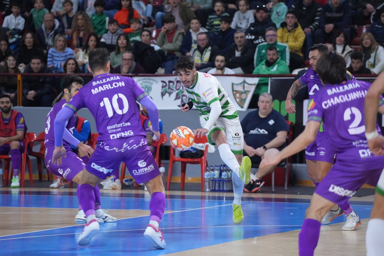 Las imágenes del Córdoba Futsal contra el Palma en Vista Alegre