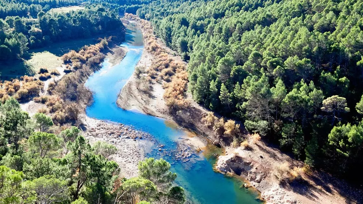 Siete paseos por la naturaleza para andar con niños