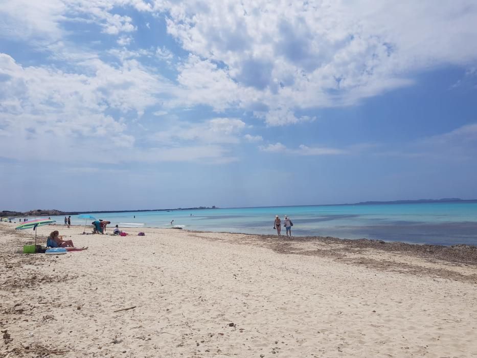 Fase 2 de la desescalada de Mallorca: Primer día con el baño autorizado en las playas