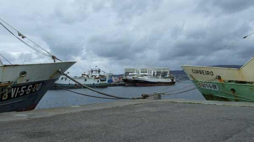 Buques cefalopoderos atracados en el puerto de Marín.  // Julio Santos Pena