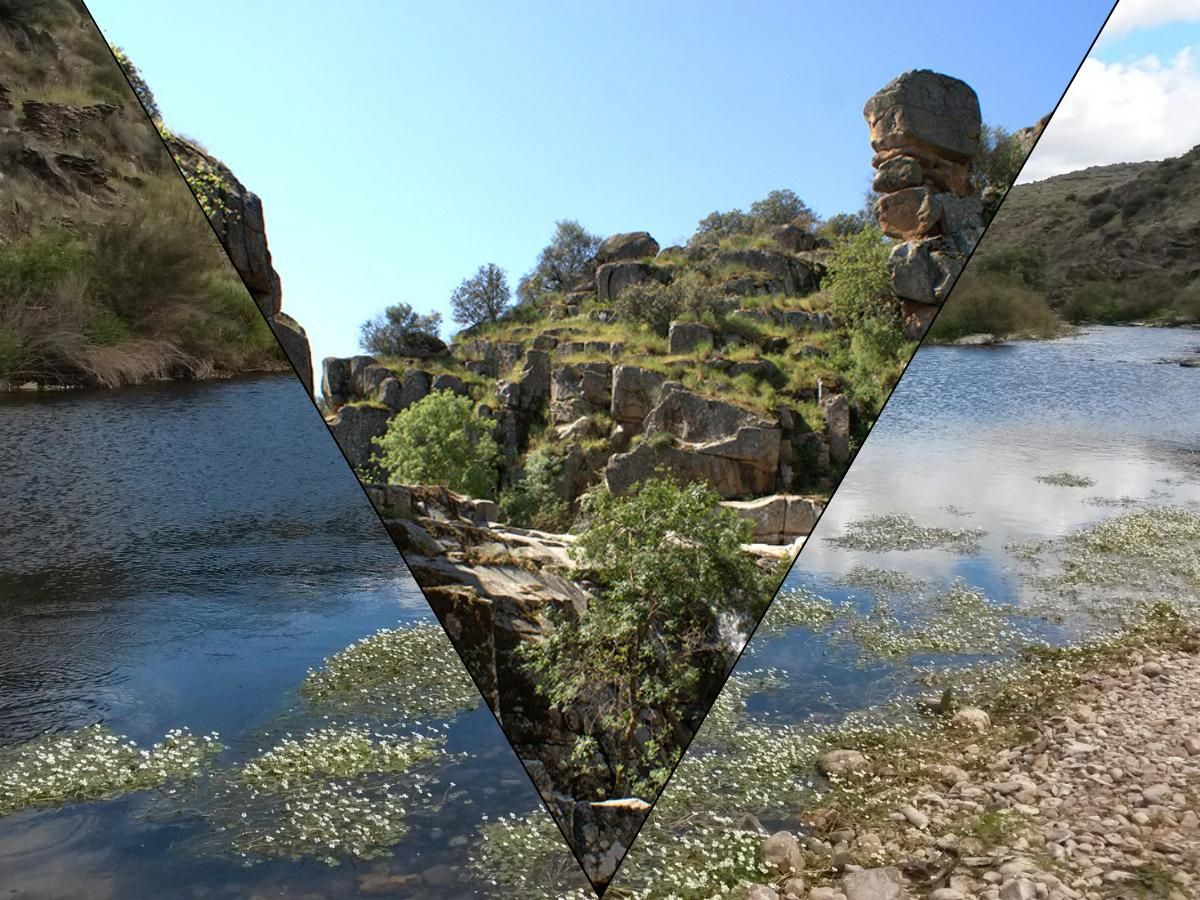 Paisaje de Villar del Pedroso y Carrascalejo.