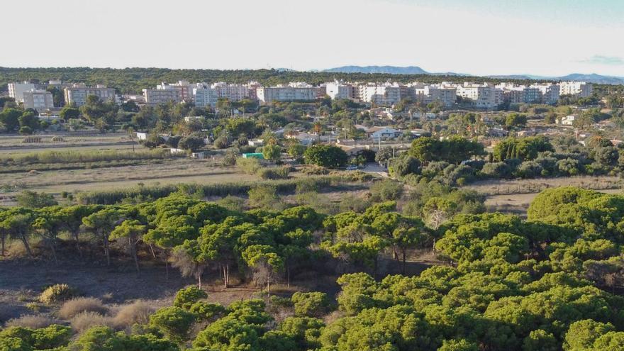 El Ayuntamiento de Elche tramita permisos para abrir hoteles en La Marina y en El Altet