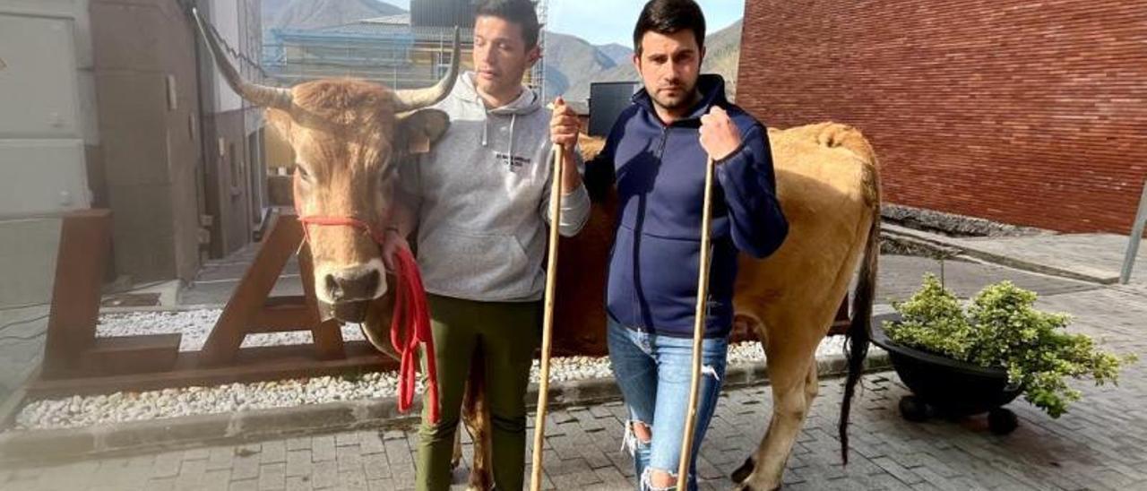 Isidro Lorences y Baldomero López, con &#039;Valenciana&#039;, en Villablino, días atrás.