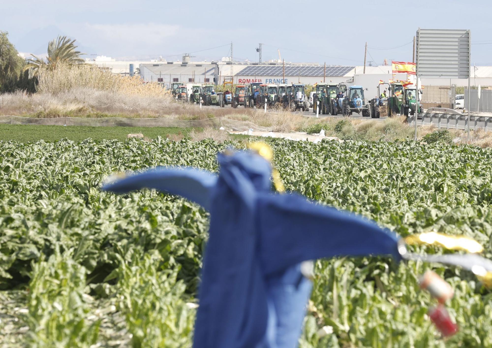 Los agricultores se concentran en tres comarcas de la provincia de Alicante en una tractorada por carreteras secundarias