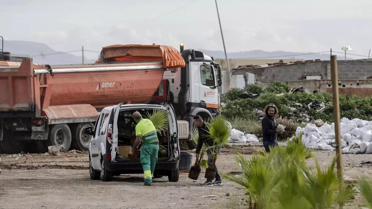 VÍDEO | Derriban cinco construcciones ilegales en Son Banya, tres de ellas puntos de venta de droga