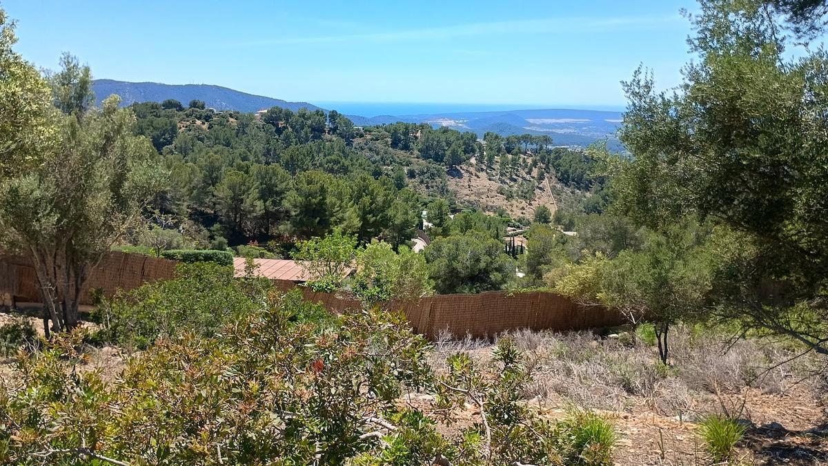 Así es la urbanización de Son Font, en Calvià vila