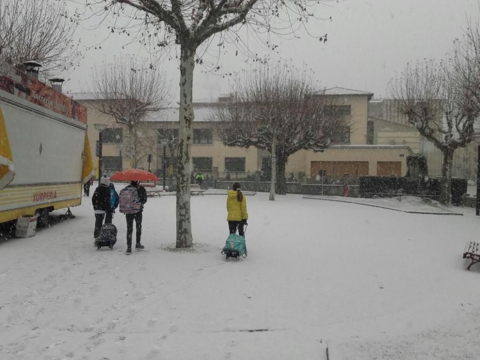 Nevada a la Cerdanya, Ripollès i Selva (1/12/2017)