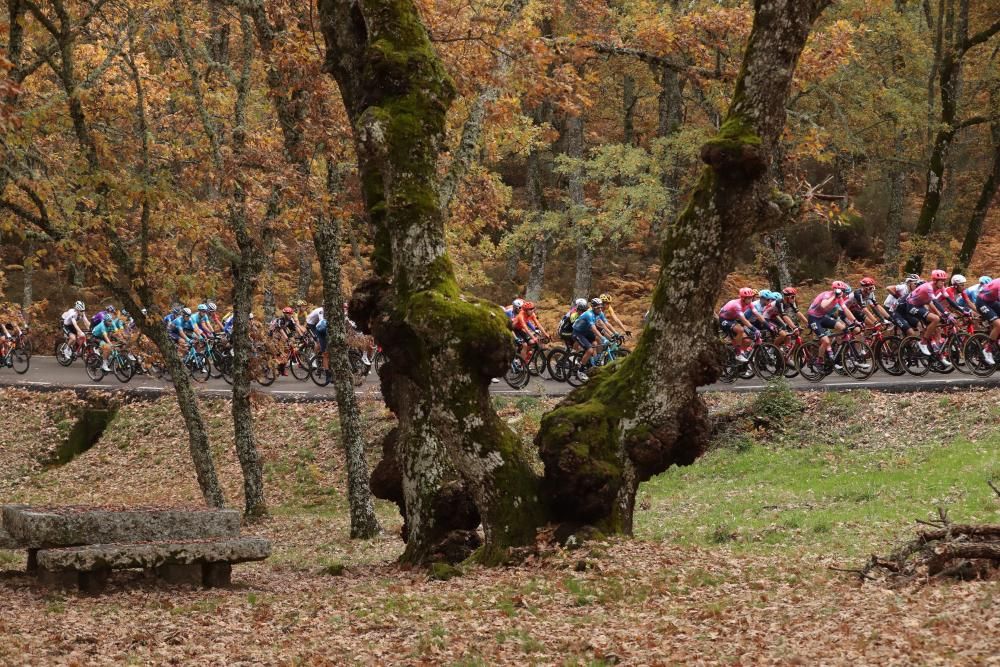 Las imágenes de la 16ª etapa de la Vuelta a España