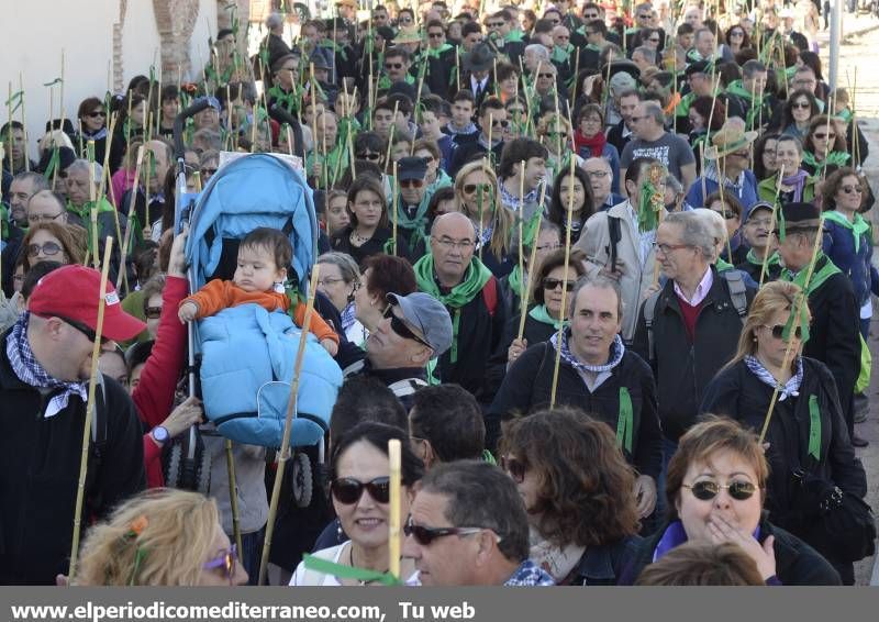 GALERÍA DE FOTOS - Romería Magdalena 2014 (4)