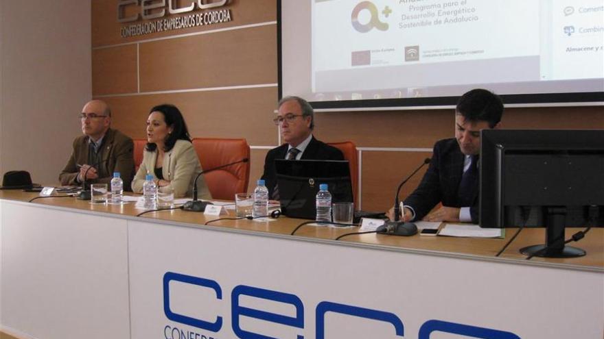 La Junta y CECO presentan a los empresarios de Córdoba los incentivos de desarrollo energético