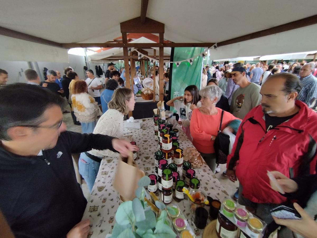 XXXIII Certamen del queso casín