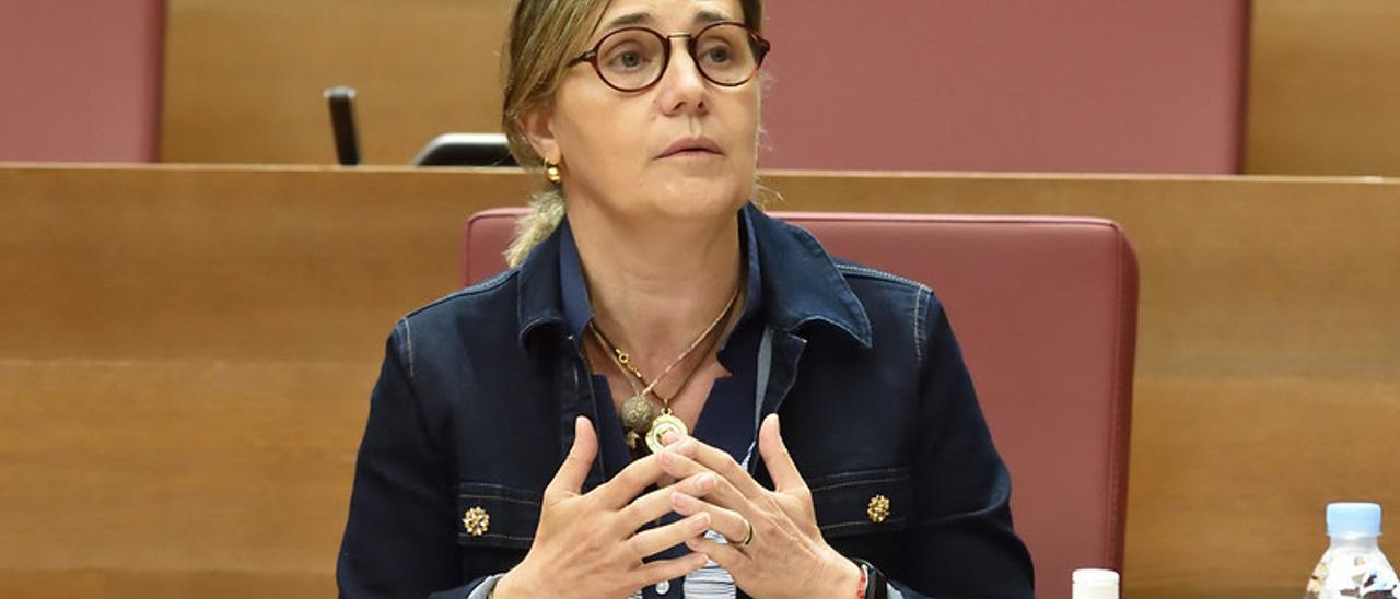 Las dos denuncias fueron presentadas por la diputada del PP en las Cortes, Elena Bastidas.