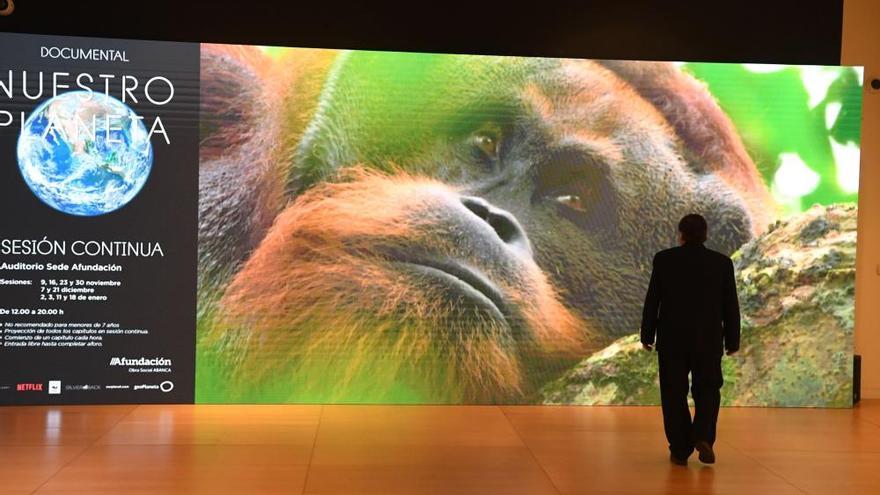 Afundación presenta la exposición &#039;Nuestro planeta&#039;