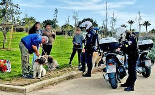 Nationalpolizei, Ortspolizei oder Guardia Civil: Wo stelle ich auf Mallorca eine Anzeige?