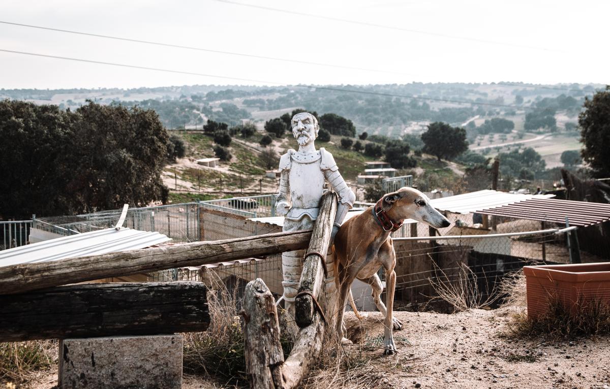 En los montes manchegos, un perro abandonado posa junto a un Quijote