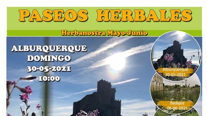 Paseo herbal