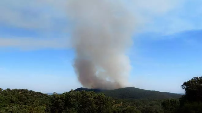 Incendio en la zona de El Machado de Monesterio