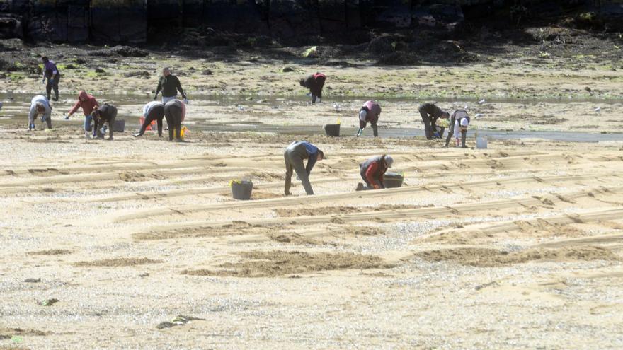 Vilanova centra el debate europeo sobre pesca artesanal