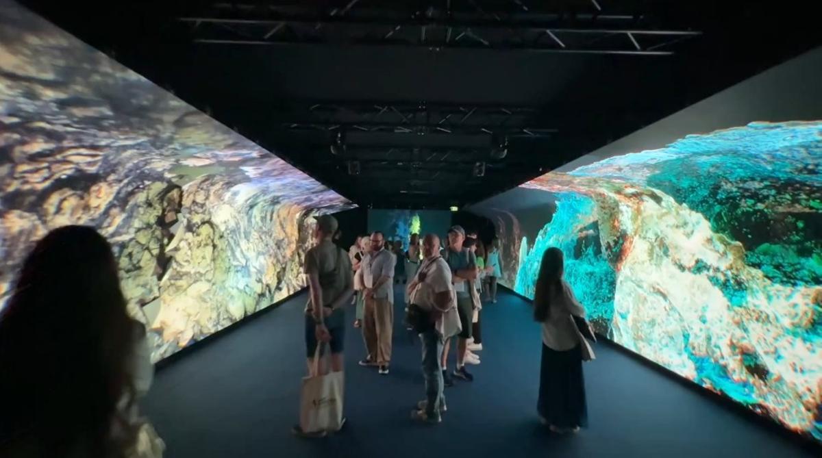 El público ya puede visitar desde principios de junio y hasta el final de la Conferencia de los Océanos de forma gratuita la gran muestra sobre el océano en el Palacio de Exposiciones.
