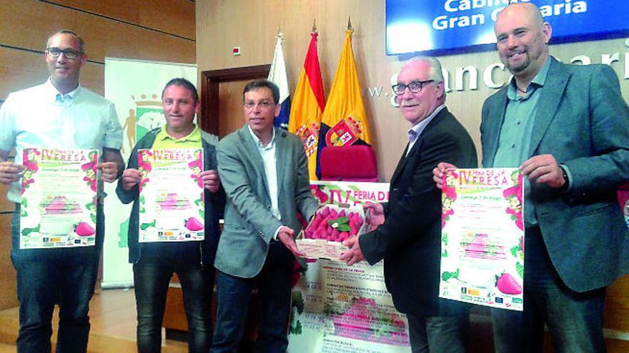 Valsequillo produce ya el 90% de las fresas que se cosechan en Canarias