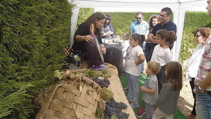 El Museo del Vino promueve una visita guiada para conocer el fruto a pie de viña