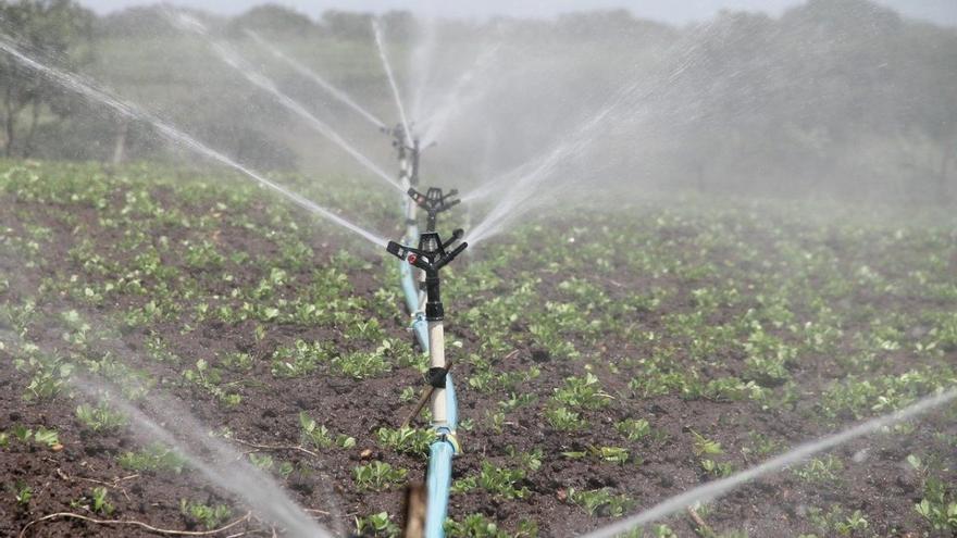 Ecologistas pide que se desestime el regadío de Tierra de Barros