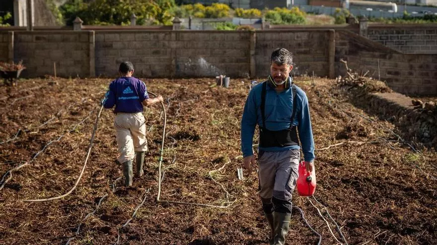 Visita a una finca en Los Baldíos donde se desarrolla un proyecto piloto para evaluar su resistencia a la filoxera