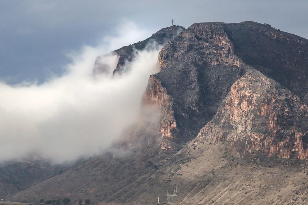 Las lluvias han dejado entre 15 y 30 litros por metro cuadrado en la Vega Baja