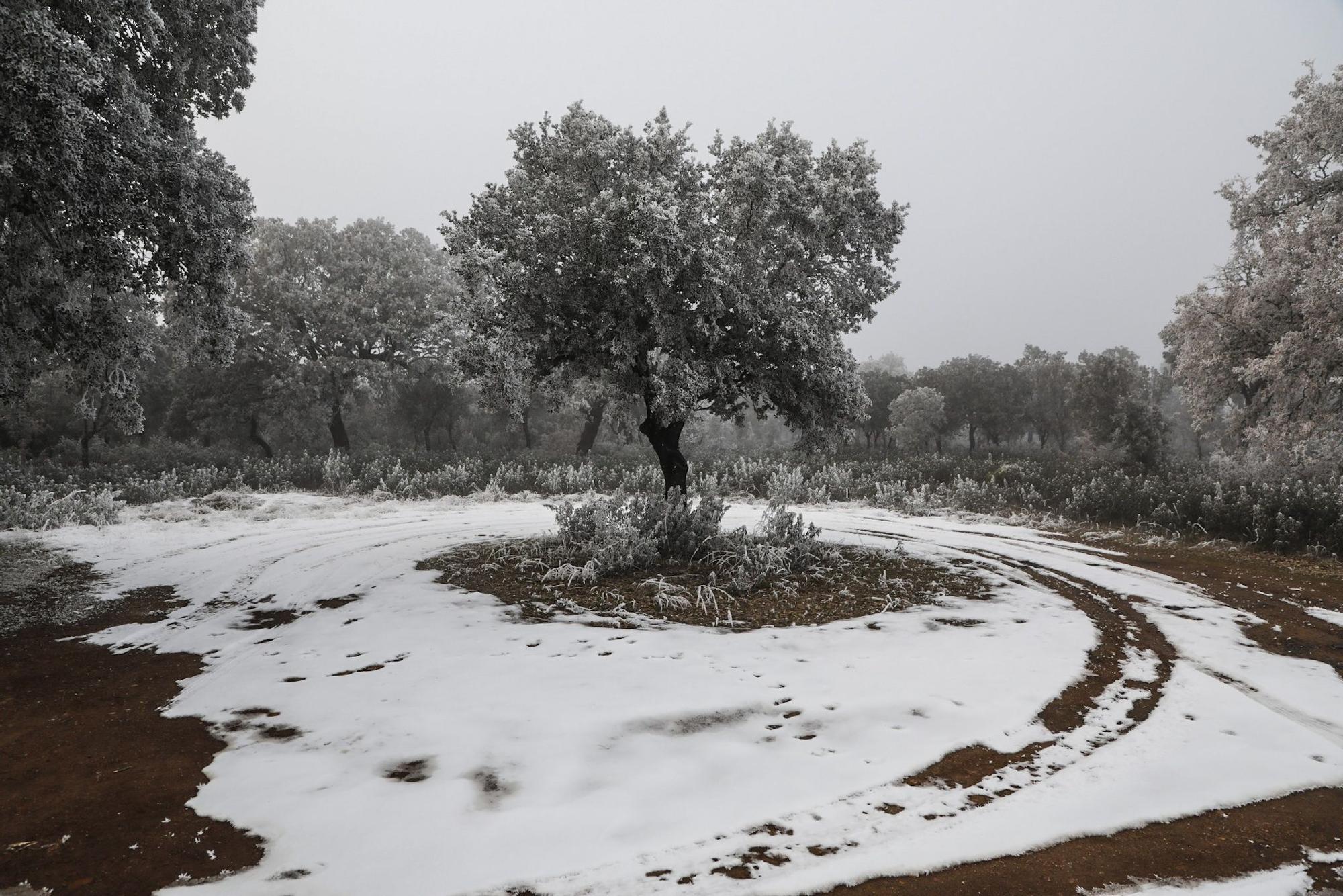 Paisajes de una Zamora escondida bajo la niebla