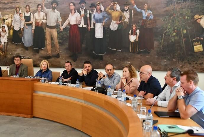 Pleno de Santa Lucía de Tirajana (28/11/19)