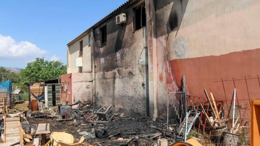 Los dos perros lobo checoslovacos y los estragos del fuego.