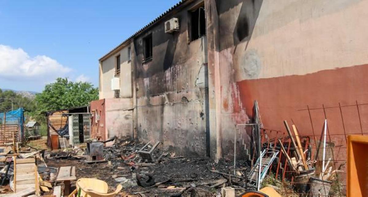 Los dos perros lobo checoslovacos y los estragos del fuego.