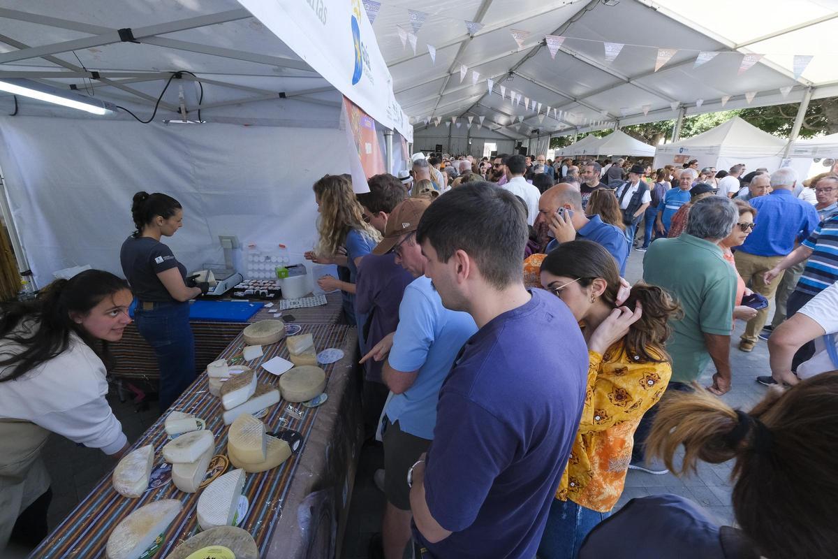 Puestos de ventas de queso de Gran Canaria con múltiples variedades en una carpa ubicada en el casco de Santa María de Guía.