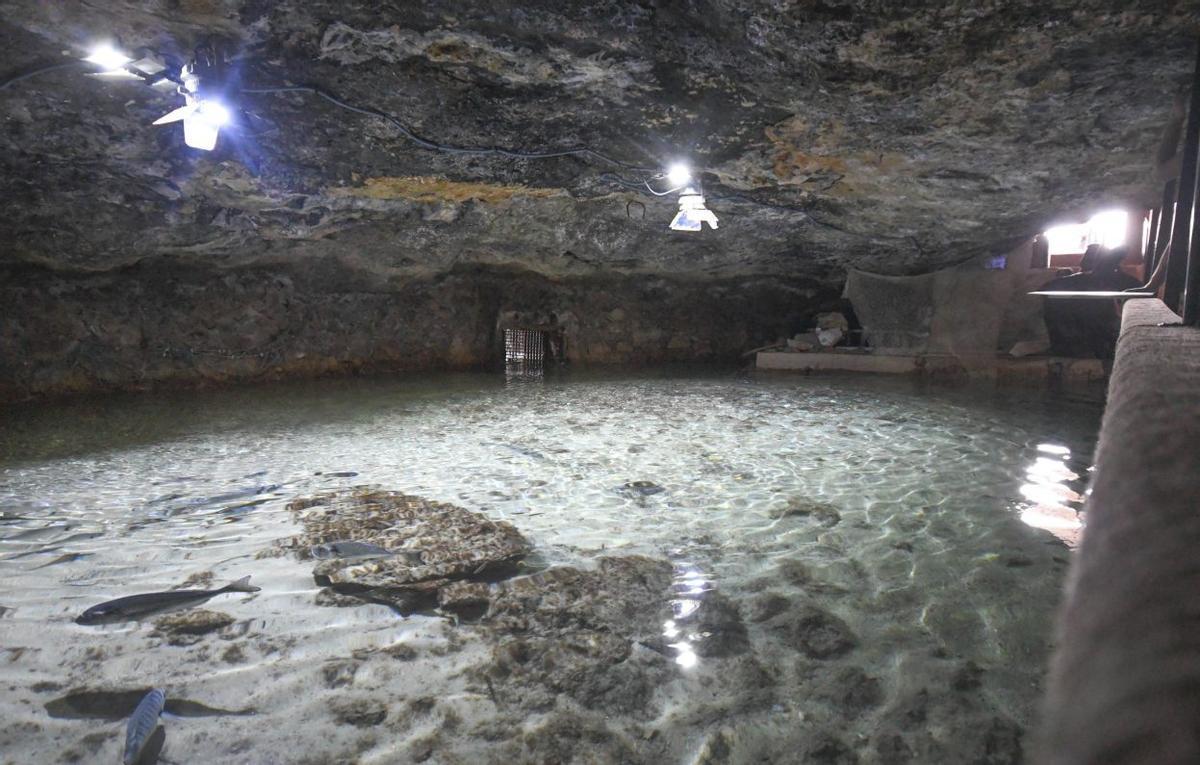 El aquarium des Cap Blanc es un plan familiar ideal. | MARIA MOLINA