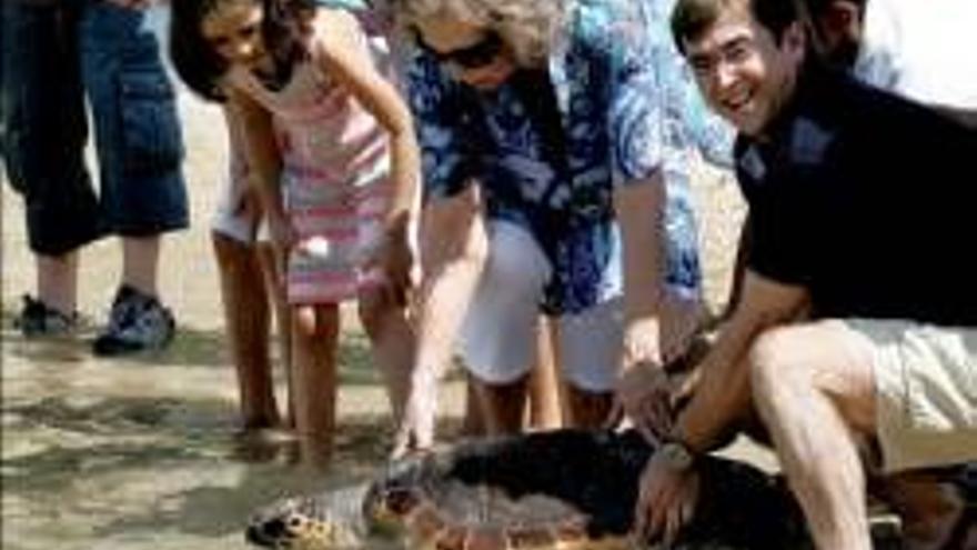 Sofía: La Reina libera tortugas bobas en Cabrera