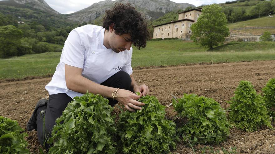 El joven cocinero que se llevó al huerto a la crítica gastronómica