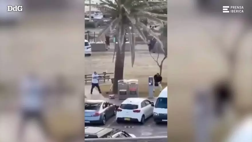 VÍDEO | Un vianant desarma un dels terroristes que va disparar contra els assistents a la festa jueva que se celebrava diumenge a la platja de Bondi
