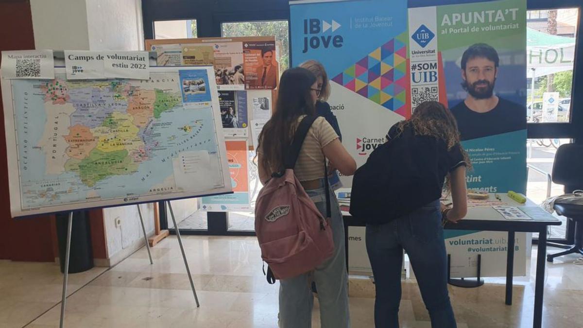 El IbJove organizó ayer una mesa informativa en la UIB.