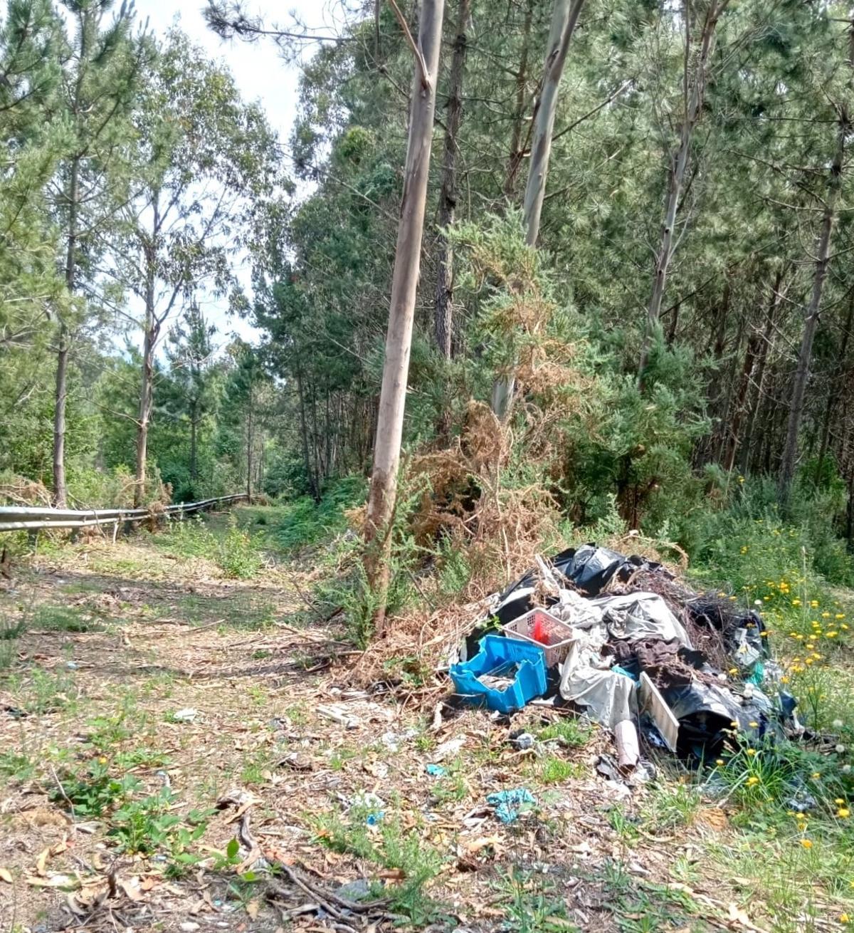 Residuos en una finca junto a la vía de servicio de la carretera entre Ledoño y Celas de Abajo
