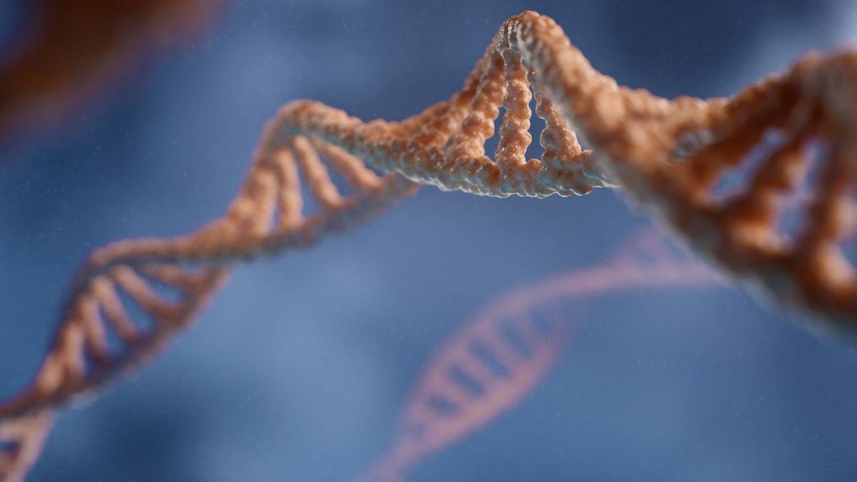 Avance en terapias génicas: molécula que introduce ADN sin respuesta inflamatoria.