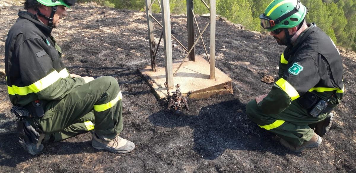 Un jutjat investiga un incendi a Manresa originat per l’electrocució d’un ocell