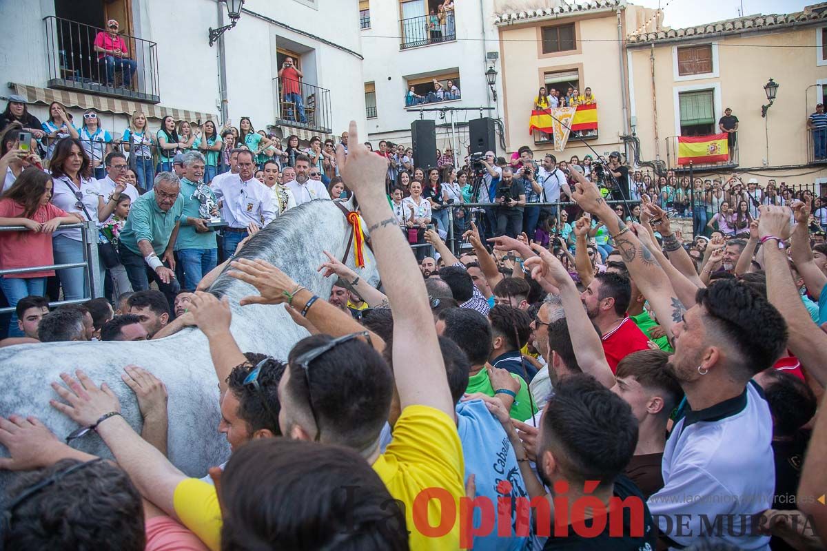 Entrega de premios del concurso morfológico de los Caballos del Vino de Caravaca