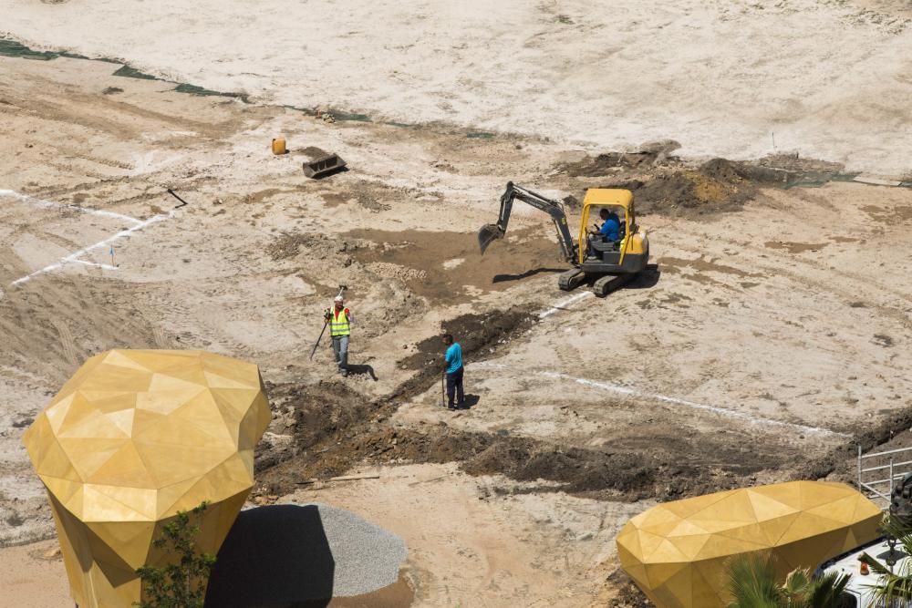 Asoma el verde en las obras del Parc Central