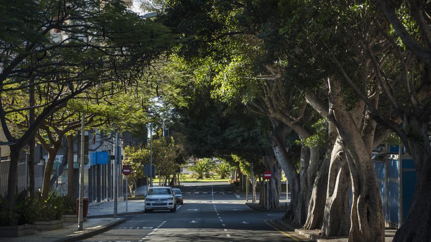Santa Cruz adjudica por 26,2 millones la mejora de sus zonas verdes y arbolado