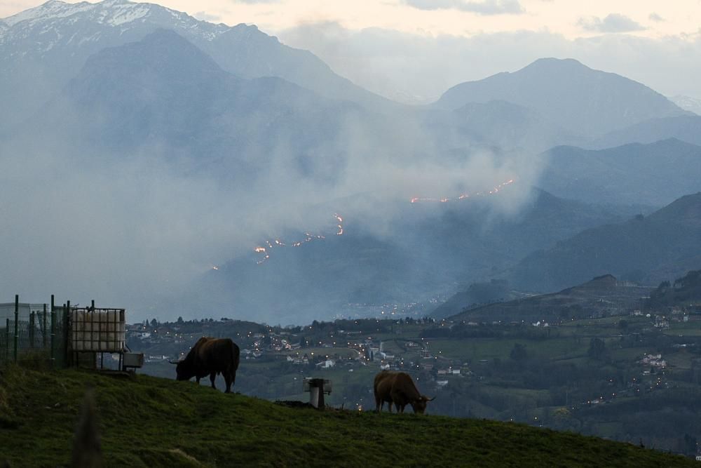 Fuego en la zona de Oviedo