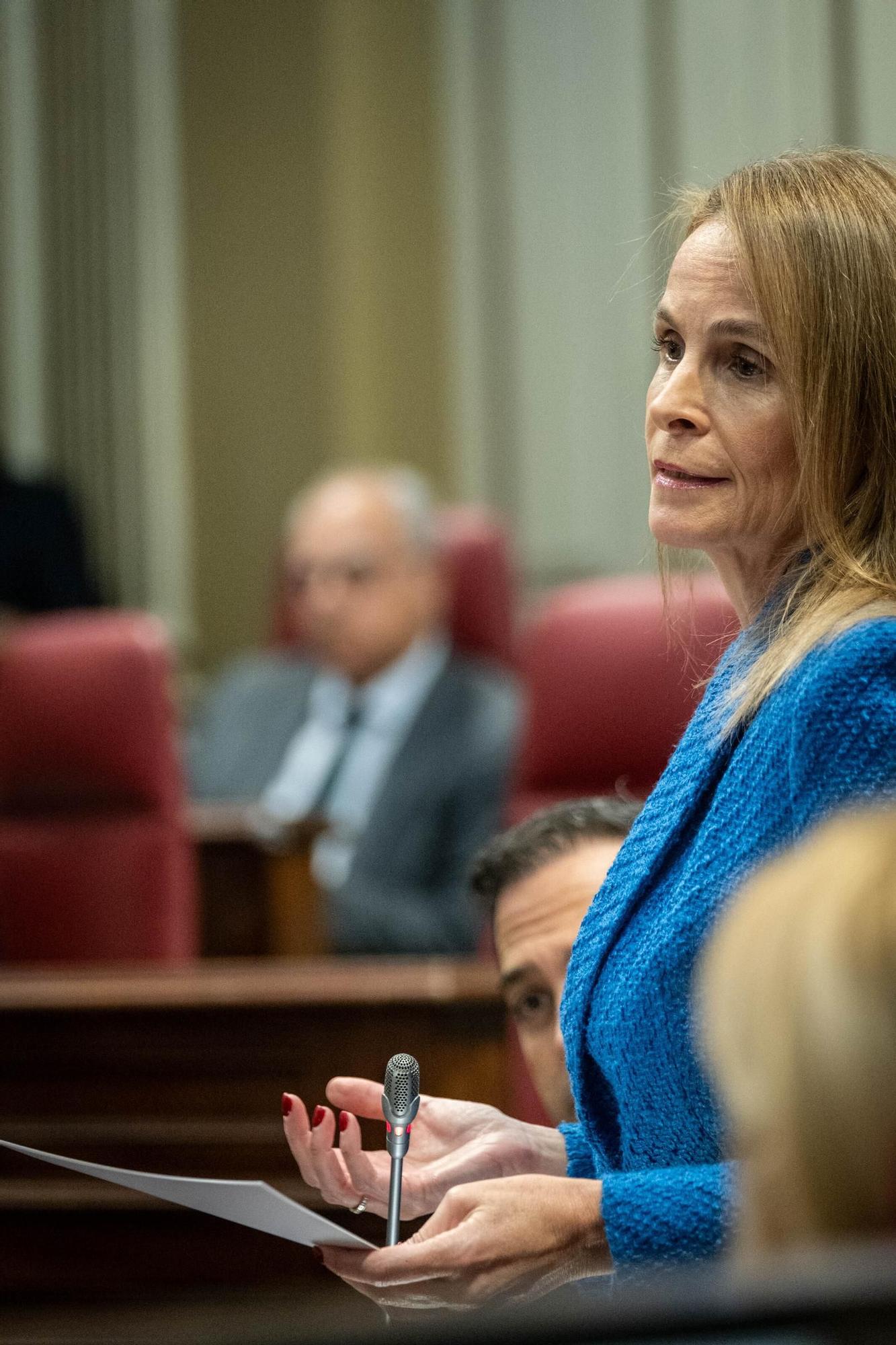 Pleno del Parlamento de Canarias (12.12.09)