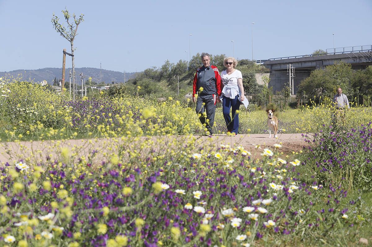 El Parque de Levante de Córdoba avanza en su finalización