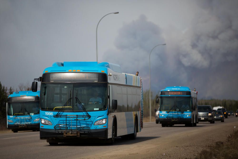 El incendio registrado en la localidad canadiense de Fort McMurray, en el estado de Alberta, ha destruido miles de hectáreas y de viviendas.